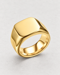 PARLX Axis Band rounded-square signet ring in gold tone on light concrete