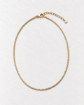 PARLX Box Chain Necklace in champagne gold tone on light concrete — existing render with standardized catalog styling